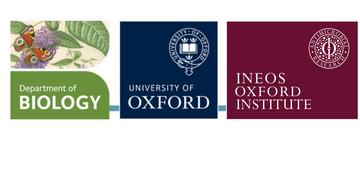 3logos