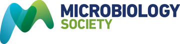 ms logo green rgb for website