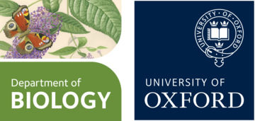 uoo biologylogo buddleia butterfly lockup keyline
